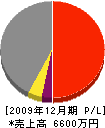 川崎工務店 損益計算書 2009年12月期