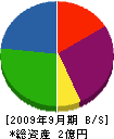 ケイ・ワイ 貸借対照表 2009年9月期