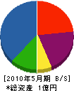河嶋工業 貸借対照表 2010年5月期