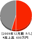 伊藤組 損益計算書 2009年12月期