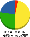 玉清組 貸借対照表 2011年6月期