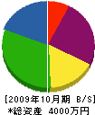 佐野組 貸借対照表 2009年10月期