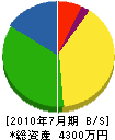 船嶋電気 貸借対照表 2010年7月期