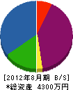 丸山電業 貸借対照表 2012年8月期