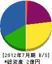 毛塚工業 貸借対照表 2012年7月期