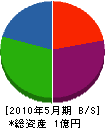 竹内商会 貸借対照表 2010年5月期