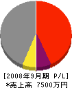 湘南アスト 損益計算書 2008年9月期
