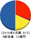 才田組 貸借対照表 2010年6月期