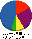 藤原電工 貸借対照表 2009年6月期