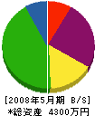 川村工業 貸借対照表 2008年5月期