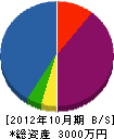 仲川電機商会 貸借対照表 2012年10月期