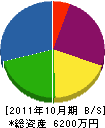 木村電設 貸借対照表 2011年10月期