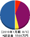 ヤチヨ 貸借対照表 2010年1月期