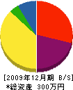 ツジムラ塗装店 貸借対照表 2009年12月期