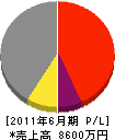藤澤産業 損益計算書 2011年6月期