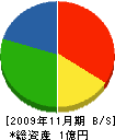 竹内工務所 貸借対照表 2009年11月期