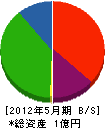伊藤電気 貸借対照表 2012年5月期