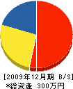 東生テクノサービス 貸借対照表 2009年12月期