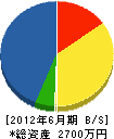 手塚電気 貸借対照表 2012年6月期