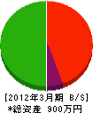野澤塗工店 貸借対照表 2012年3月期