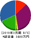 彩美緑化 貸借対照表 2010年3月期