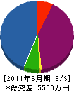 田崎建装 貸借対照表 2011年6月期