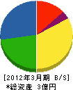 岡村リソーズ 貸借対照表 2012年3月期