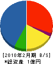 橋本電気商会 貸借対照表 2010年2月期