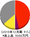 中村美装 損益計算書 2010年12月期