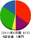 宮井電機商会 貸借対照表 2011年6月期