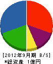 大塚建設 貸借対照表 2012年9月期