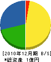 藤徹組 貸借対照表 2010年12月期
