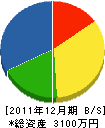 玖珠緑化建設 貸借対照表 2011年12月期