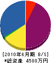 飯田造園 貸借対照表 2010年6月期