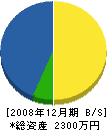 新栄塗装 貸借対照表 2008年12月期