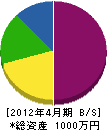 池田デンキ 貸借対照表 2012年4月期