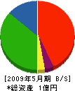 伊藤電気 貸借対照表 2009年5月期