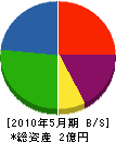 辻工務店 貸借対照表 2010年5月期