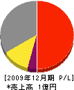 平和電業社 損益計算書 2009年12月期