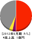 オキヤマ 損益計算書 2012年6月期