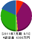 柴田電機工業 貸借対照表 2011年7月期