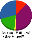 信濃 貸借対照表 2010年6月期