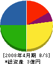 藤成建設 貸借対照表 2008年4月期
