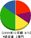 山成建設 貸借対照表 2009年12月期