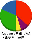 西村製材所 貸借対照表 2009年6月期