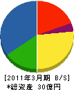 東京製綱繊維ロープ 貸借対照表 2011年3月期