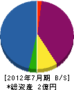 東岸和田総合開発 貸借対照表 2012年7月期