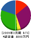 ヤマザキスポーツ工事 貸借対照表 2009年3月期