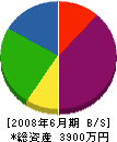 石川塗工店 貸借対照表 2008年6月期