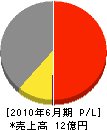 栃木ハウス 損益計算書 2010年6月期